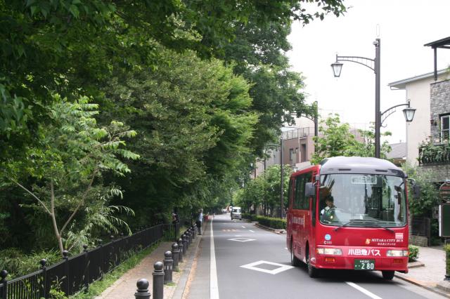 画像：写真：風の散歩道