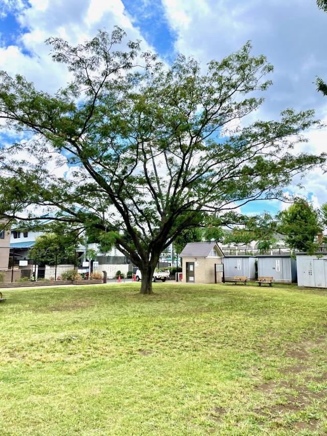 画像：広場全景の写真