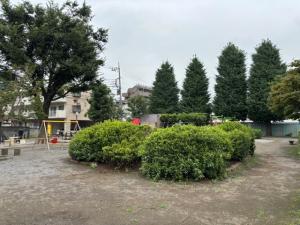 画像：ツツジ山の写真（拡大画像へのリンク）