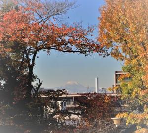 画像：富士山遠景（拡大画像へのリンク）