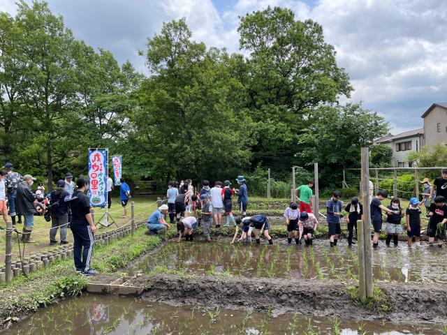 画像：田植えの様子