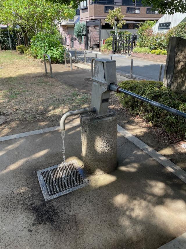 画像：手押しポンプの写真