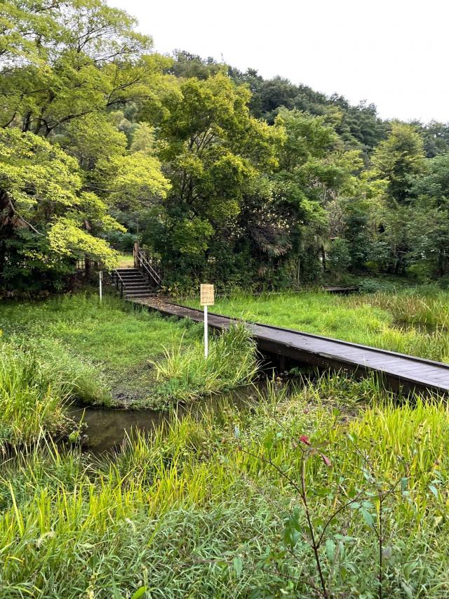 画像：湿生花園と木道の写真