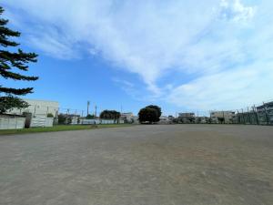 画像：公園の全景写真（拡大画像へのリンク）