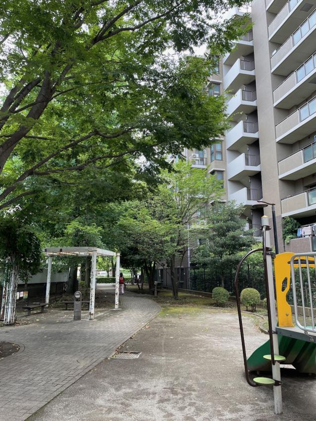 画像：園路北側の写真