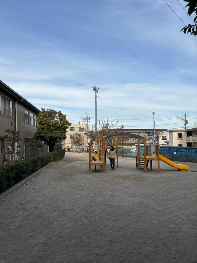 画像：複合遊具の写真