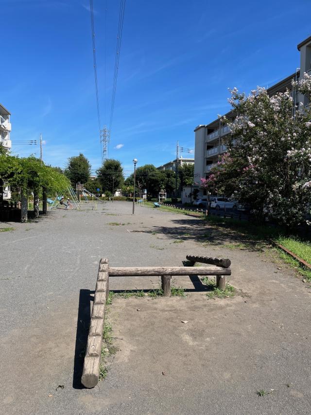 画像：平均台の写真