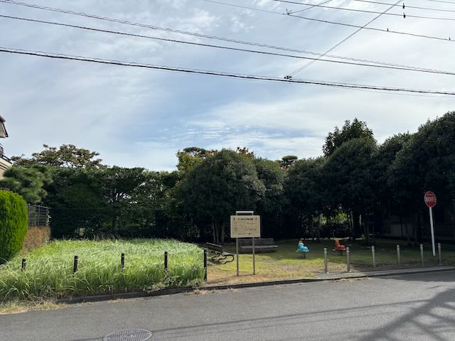 画像：西側から公園全体を眺めた写真