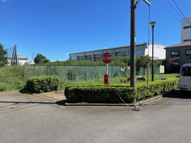 画像：道路から公園を見た写真