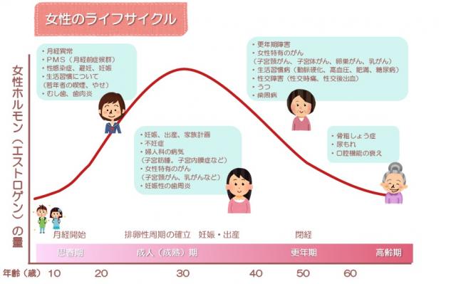 画像：女性ホルモンとライフサイクルの関係をグラフ状の図で表したもの