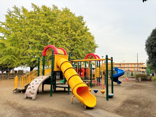 画像：複合遊具全景