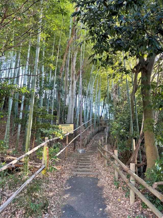 画像：大沢緑地の写真