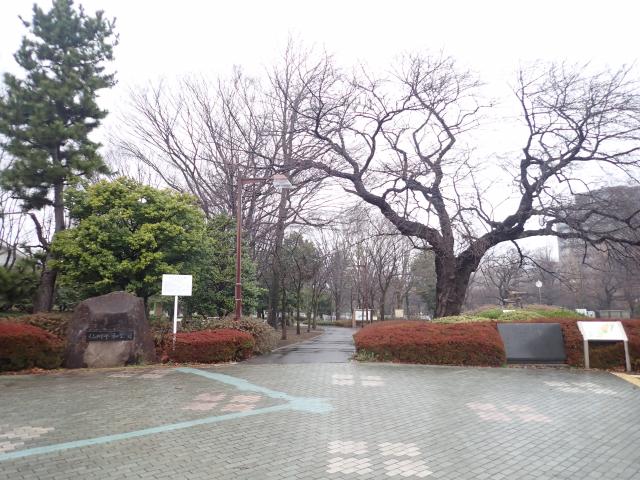 画像：仙川平和公園の桜の様子