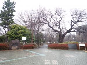 画像：仙川平和公園の桜の様子（拡大画像へのリンク）