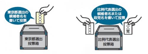 画像：参議院議員選挙の投票の方法を表した図（拡大画像へのリンク）