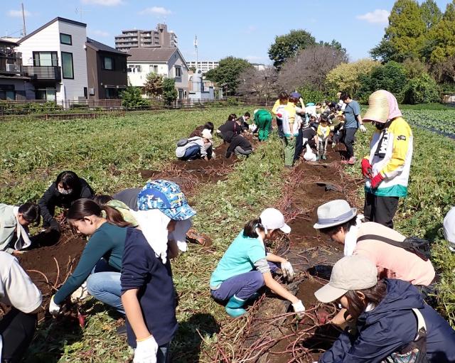 画像：収穫体験の写真