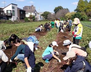 画像：収穫体験の写真（拡大画像へのリンク）