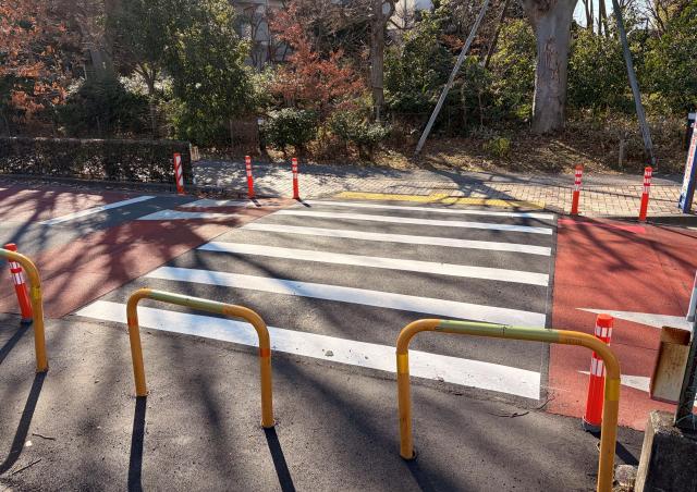 画像：設置されている写真（横断方向）