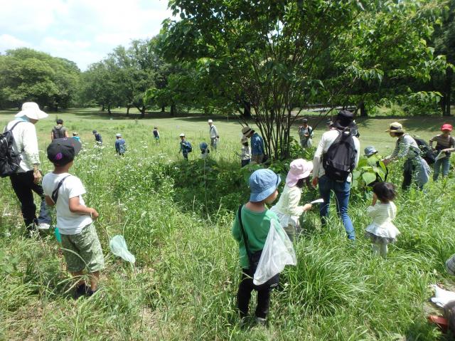 画像：昆虫観察会の様子の写真