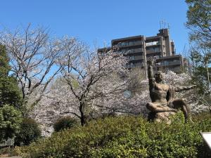 画像：仙川平和公園の桜の様子（4月3日）（拡大画像へのリンク）