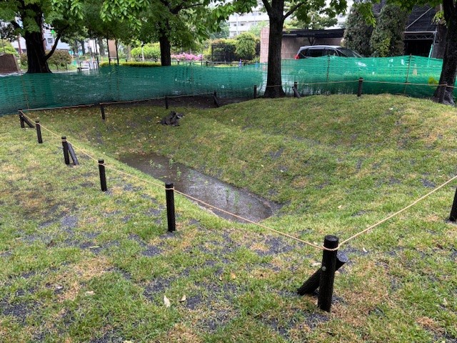 画像：雨庭全景