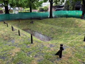 画像：雨庭全景（拡大画像へのリンク）