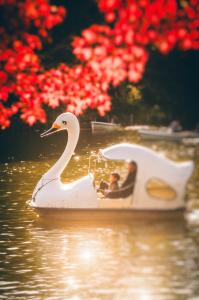 画像：夕陽に佇む一隻のアヒルボートの写真（拡大画像へのリンク）