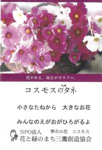 画像：コスモスのたね袋のイメージ画像（拡大画像へのリンク）
