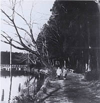 池のほとりを人が散歩している写真