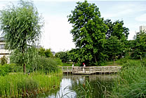 写真：丸池公園の池と橋