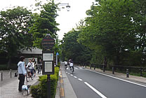 写真：緑の多い広びろとした道路