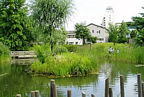 写真：池のある公園の風景