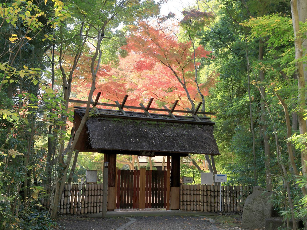 泰山荘（提供：国際基督教大学）