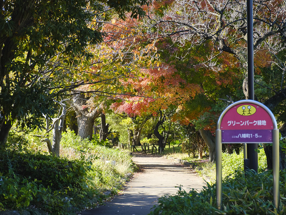 グリーンパーク緑地（引き込み線軌道跡）の写真