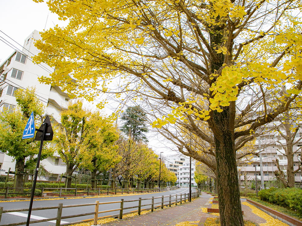 都営武蔵野緑町二丁目アパート