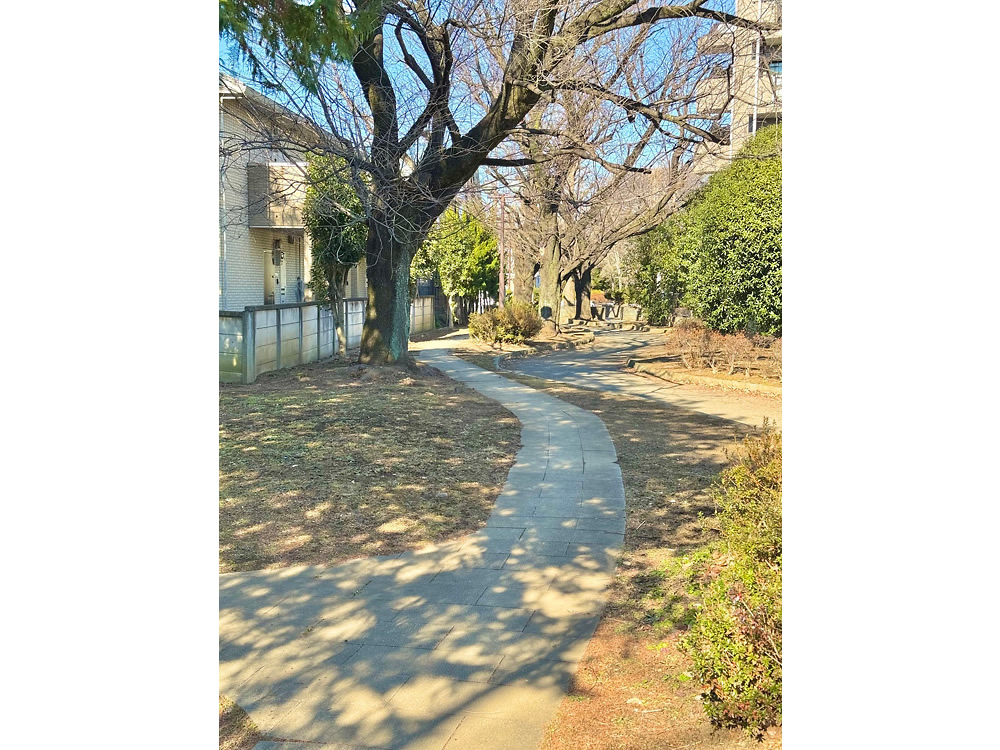 堀合遊歩道（撮影：まちなかカメラマン　岡田和美）