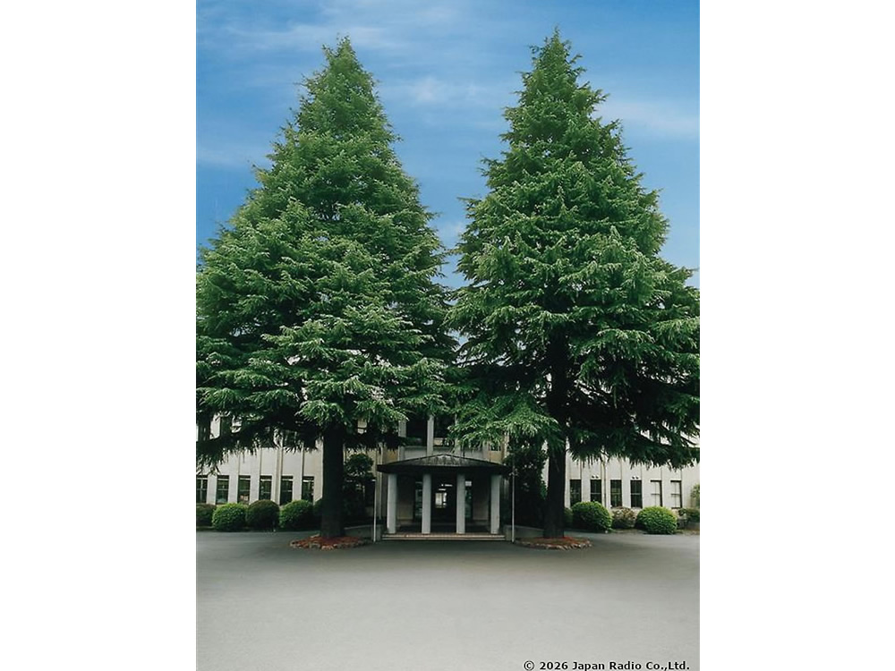 日本無線三鷹工場とヒマラヤスギ