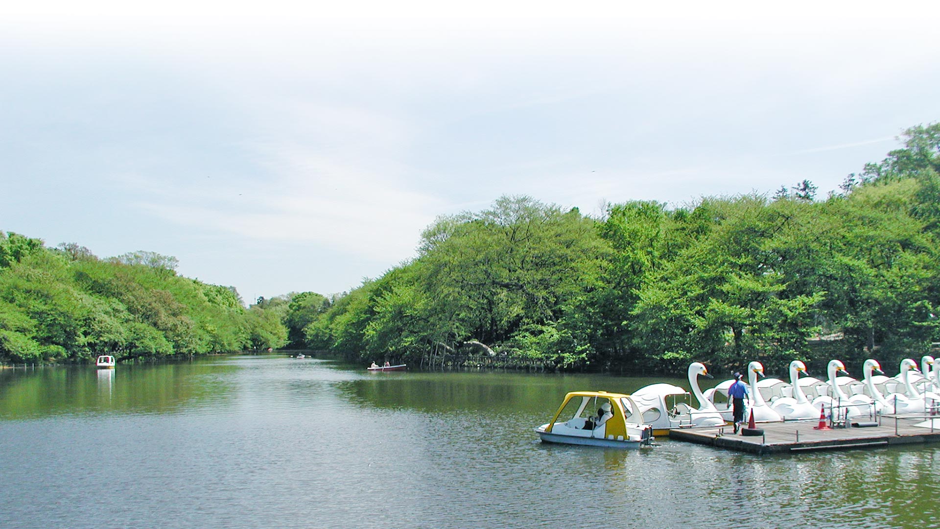 市のイメージ(井の頭公園)